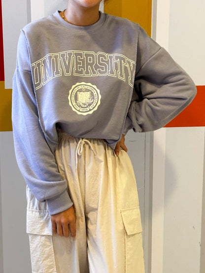 University Sweat Shirt(30%)